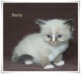 /album/amira/amira-5-hetes-003-jpg/